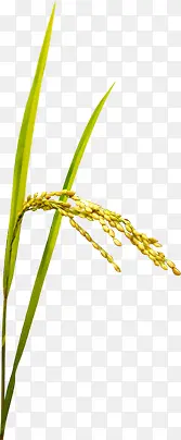 �ֻ�ˮ�����쵾��-������