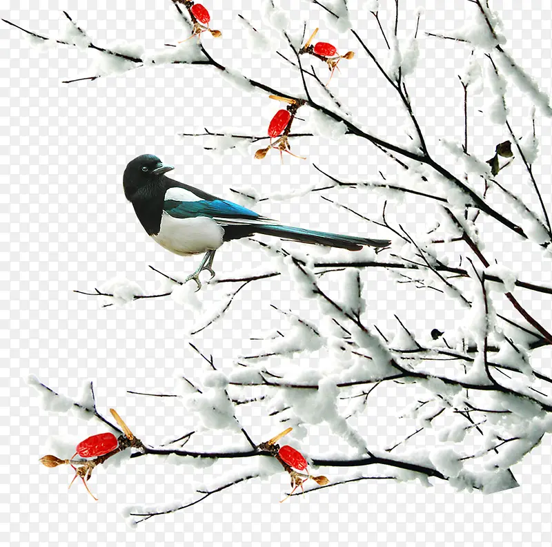 ��������ѩ����֦�廭-������