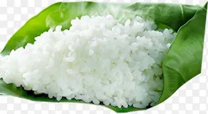 ��Ҷ����-������