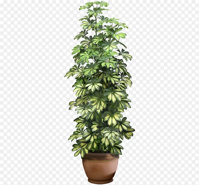 ��Ǯ������-������