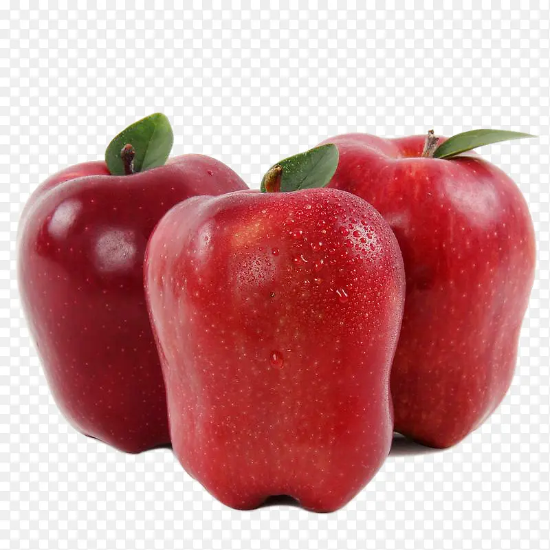 ���ʵĺ��߹�ʳ��-������