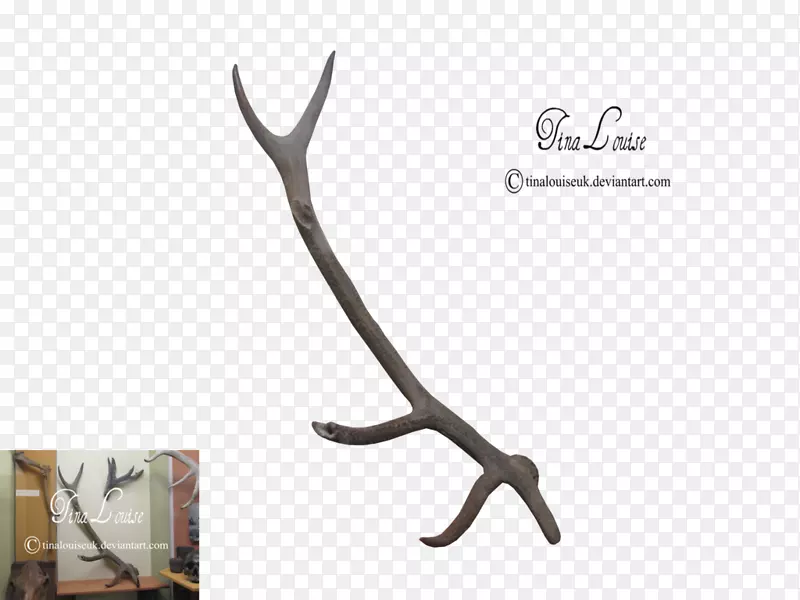 ¹������-¹��-������