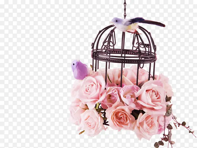 ������ɫõ�廨-������