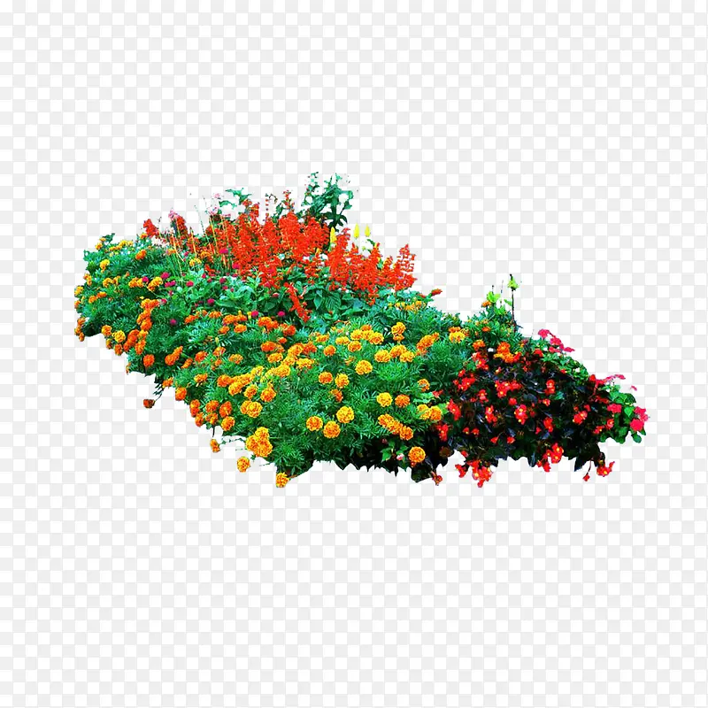 ���ݿ�ȸ��-������