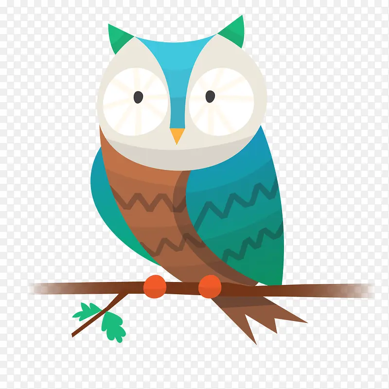 վ����֦�ϵ�èͷӥ���-������