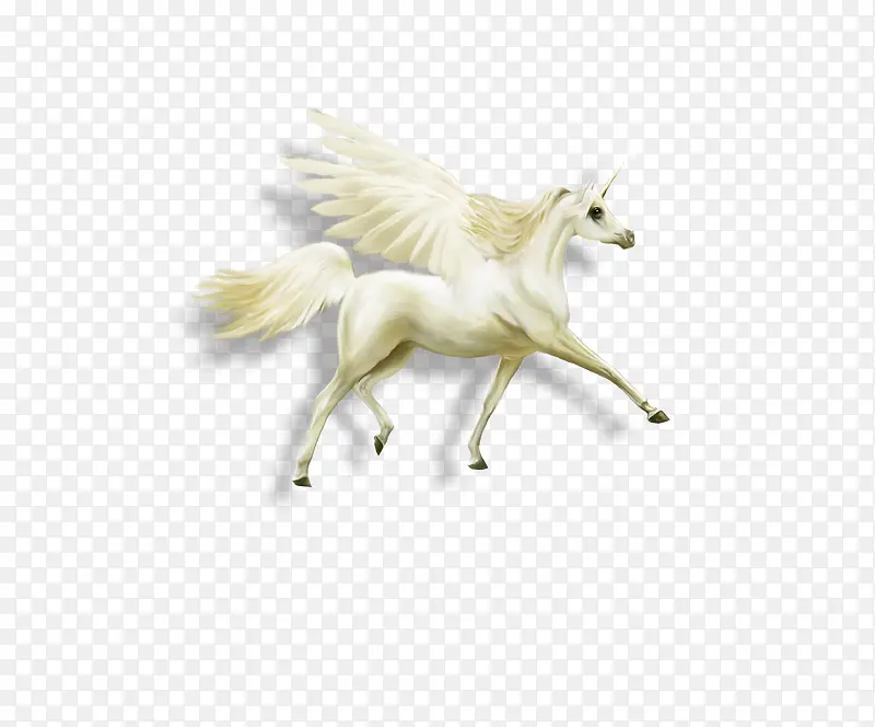 ��ɫ������-������