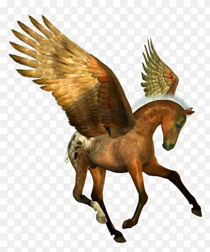 �ֻ�����-������