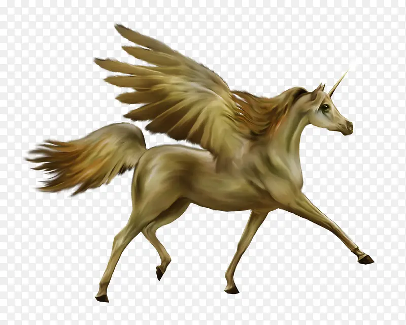 �г�����-������