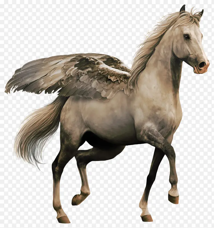 �����ķ���-������