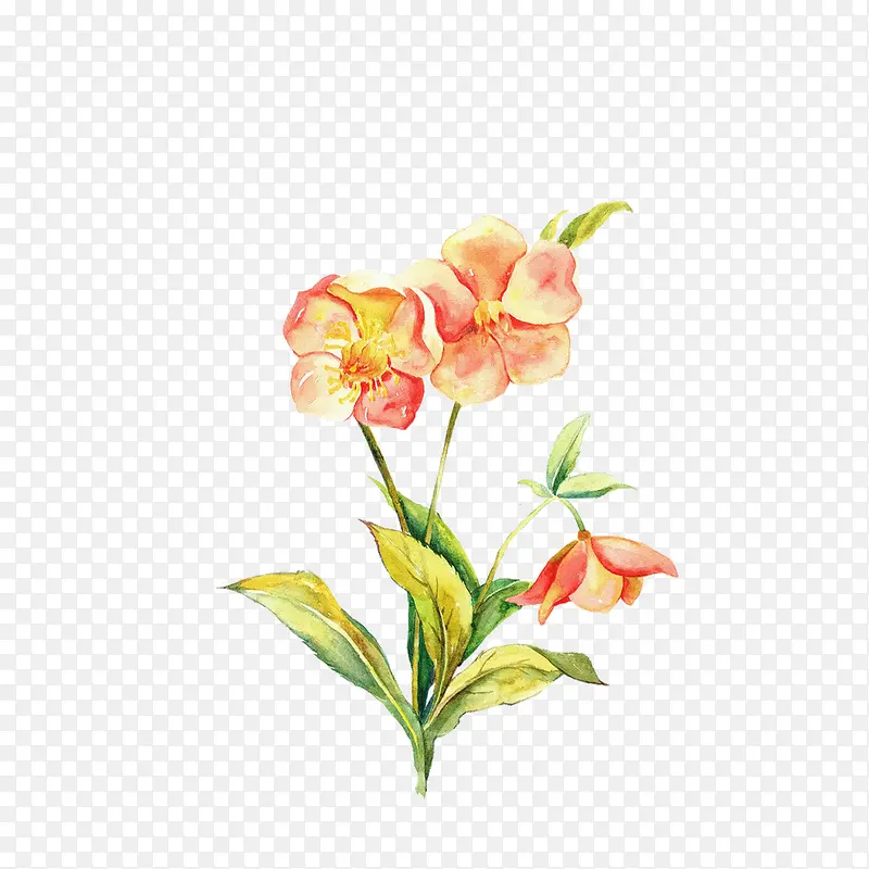 �����ֻ�-������