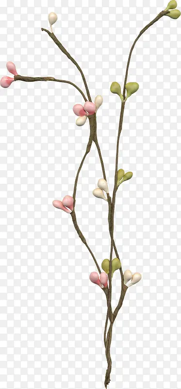 ��֦�ϵĲ�ɫ����-������