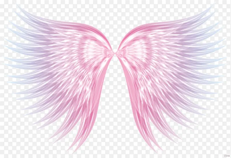 �߲��ֻ���ë-������