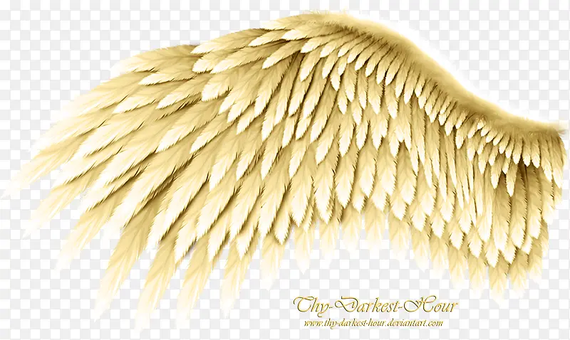 ����-������