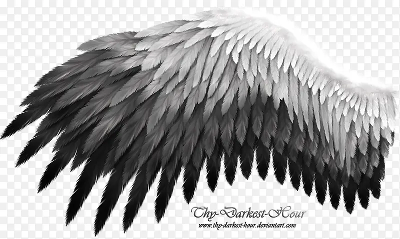 ����-������