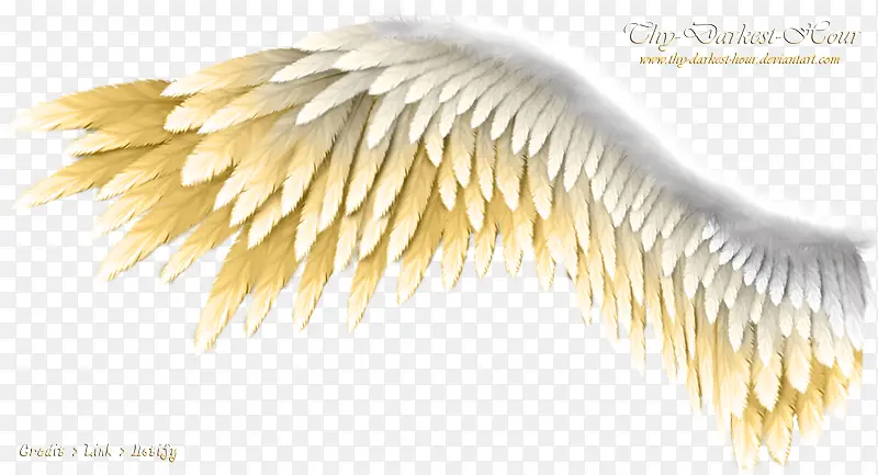 ����-������