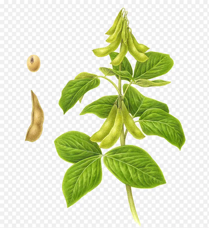 ����-������