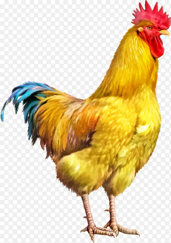 ��ɫ�󹫼�-������