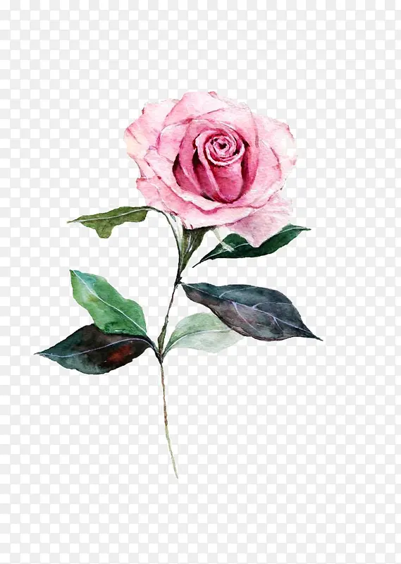 һ֧õ�廨-������