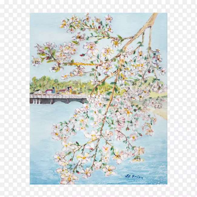 è��ˮ�ʻ�ӣ������-ӣ��ˮ�ʻ�-������