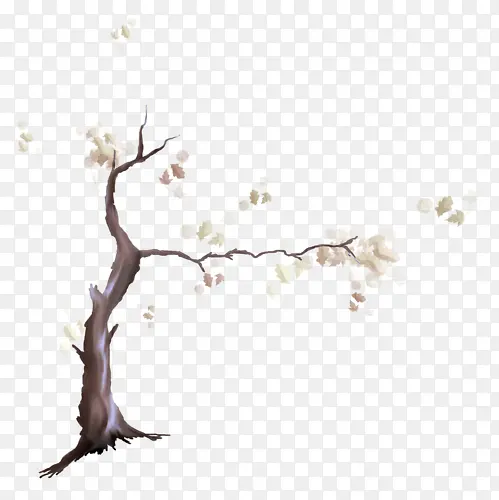 �ֻ����-������