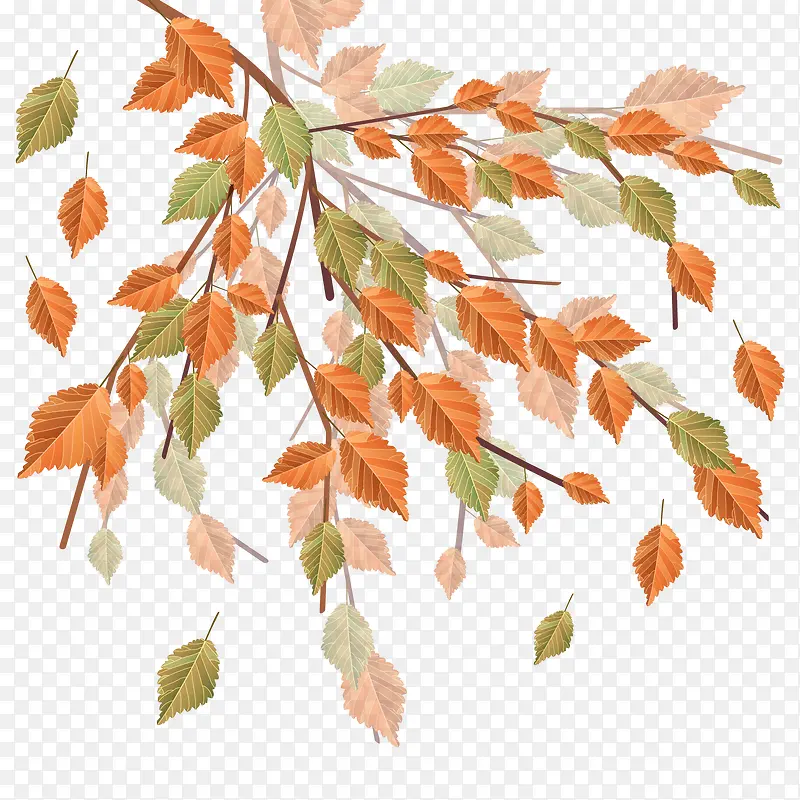 ��֦�ϵ���Ҷ-������