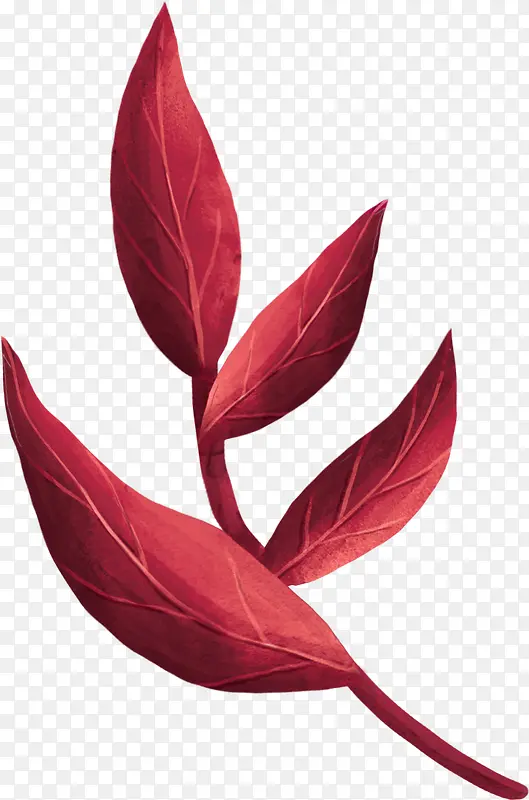 ��֦ ��ѿ-������