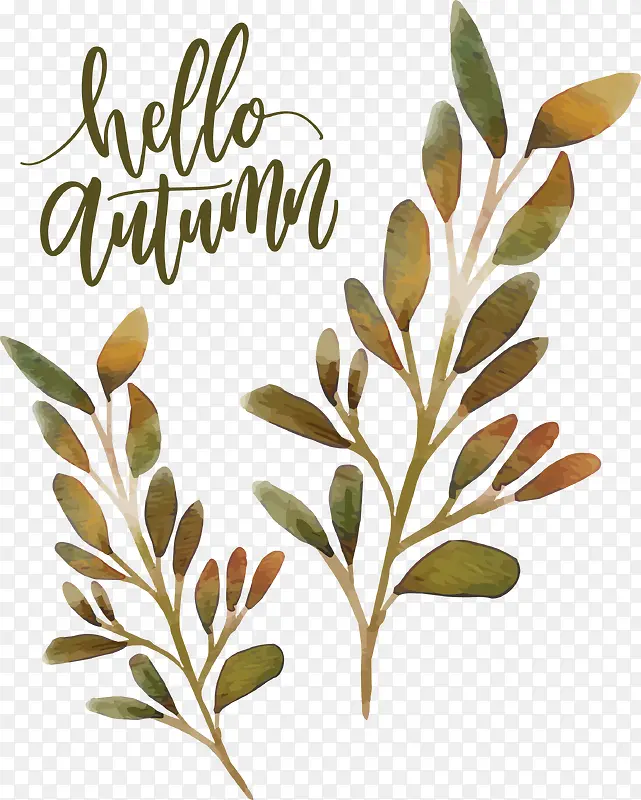 �ֻ���֦���캣��-������