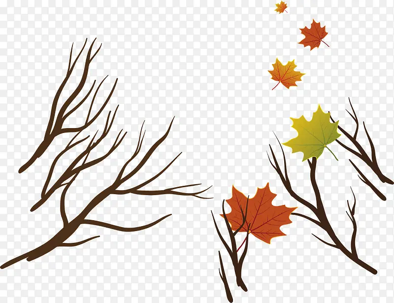 ����֦��Ҷ-������