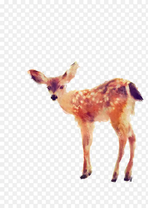 �ֻ�÷��¹-������