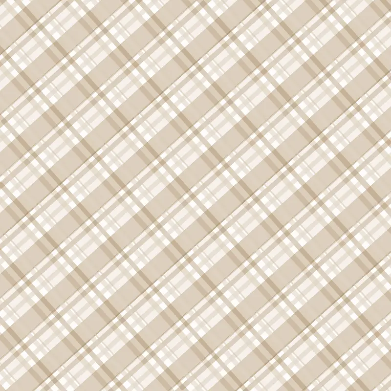 ��ɫ���ӱ���-������