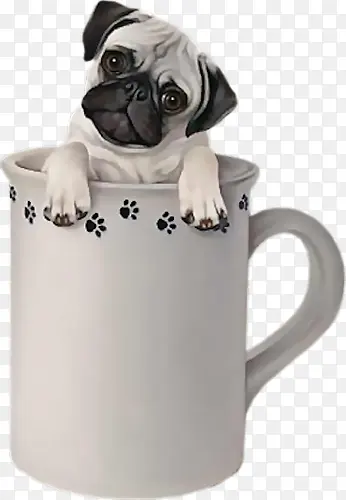 ���ڱ��������Ƥ��-������