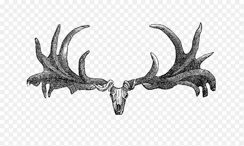 ��ͨ�ֻ�ɽ��ͷ-������