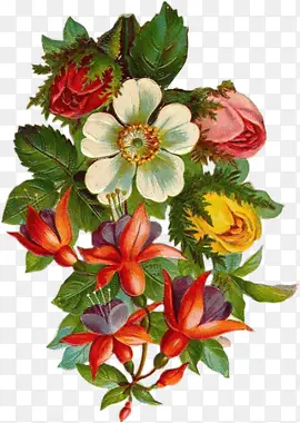 ��ͨ�����زĻ�ͼ�� ��ͨ�ֻ滨-������