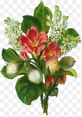 �ֻ滨��ͼƬ�ֻ滨��ͼ�� ��ͨ-������