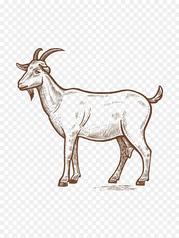 �ֻ���ɽ��-������