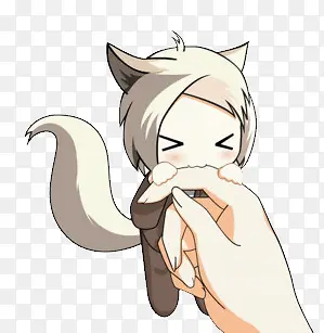 �ɰ���ͨ�ɰ� �ɰ�è��-������