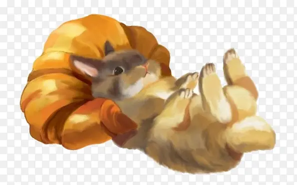 ��ͨװ�ο�ͨԪ�� Сè-������