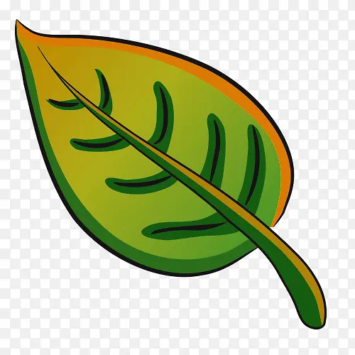 ��ͨ��Ҷ-������