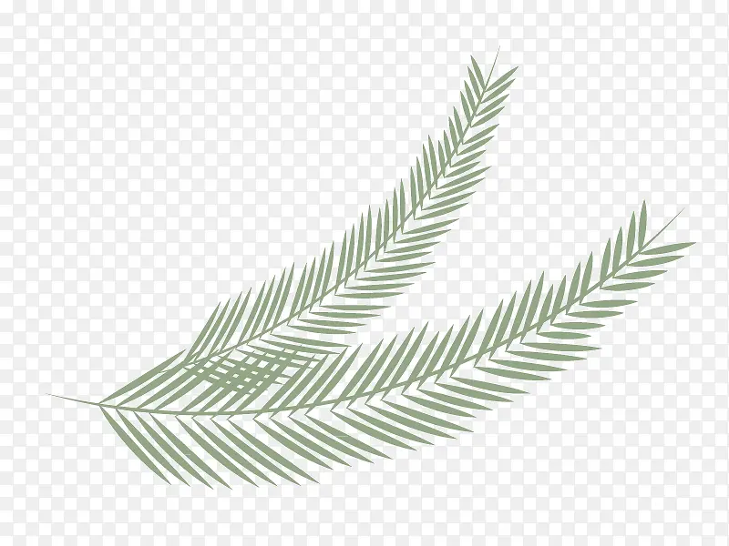 ��ҶҶ�ӿ�ͨʸ���ز�-������