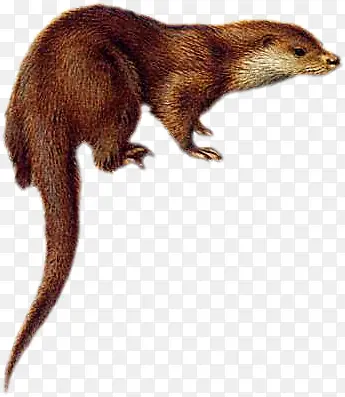 �����Ƕ���-������