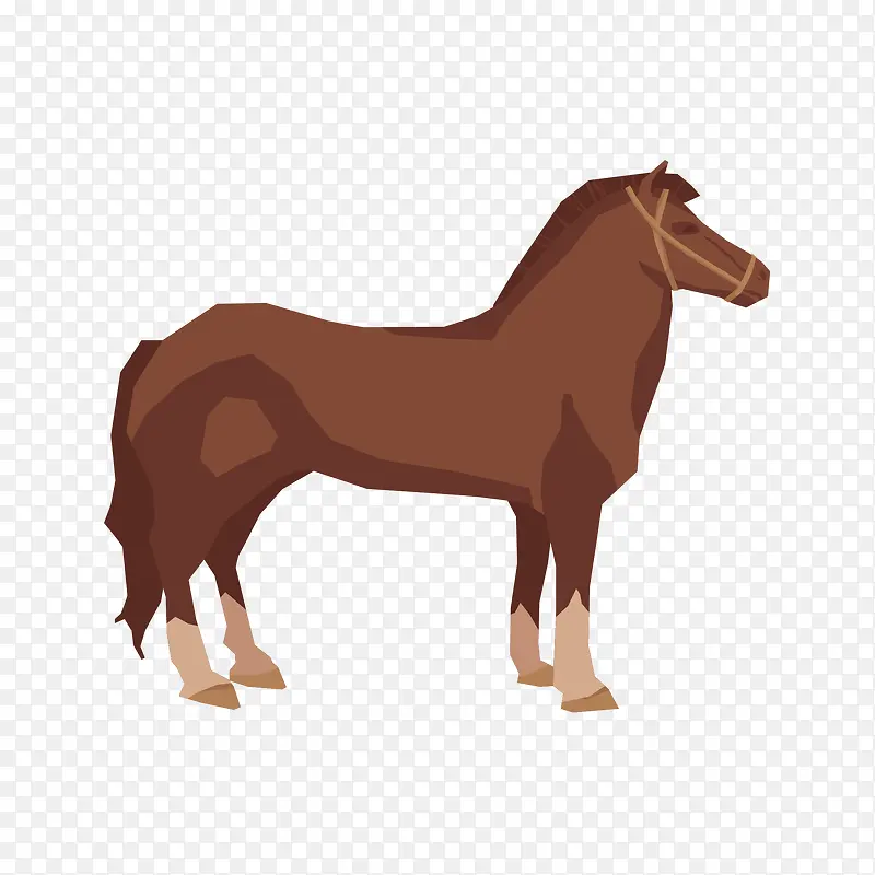 ��ͨ��ʸ��ͼ����-������