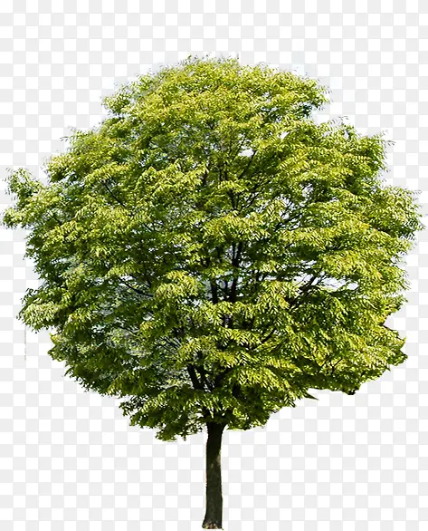 ��������ɫ���۴���-������