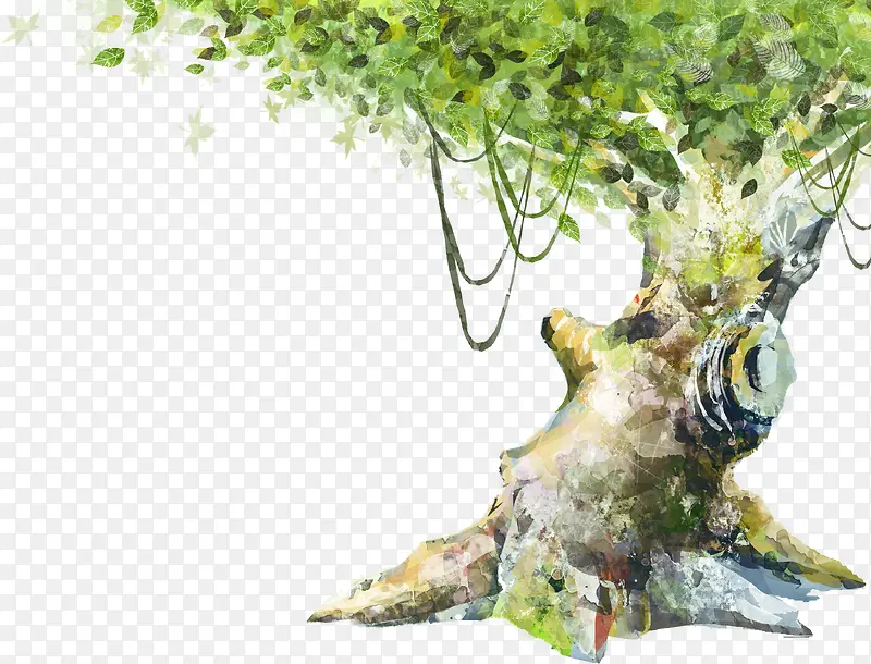 �ֻ����ɫ��������-������