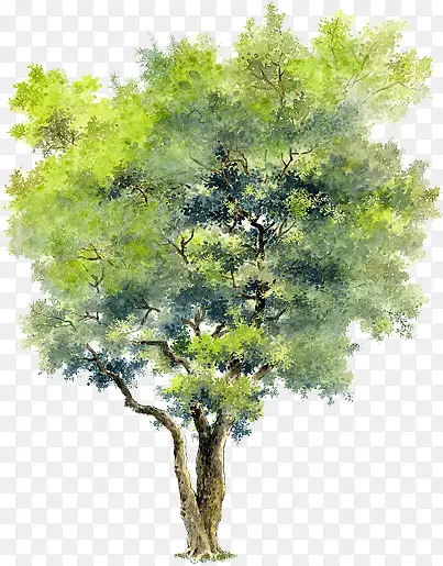 �ֻ����ɫֲ�����-������