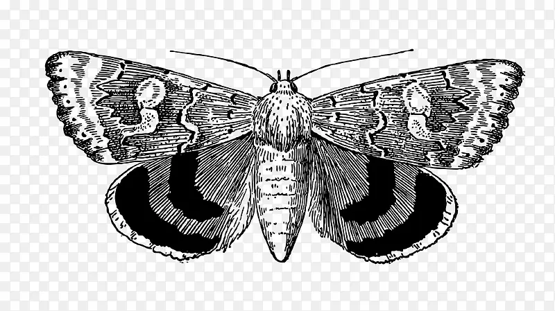 �ֻ濨ͨ��ɫ�ɶ�-������