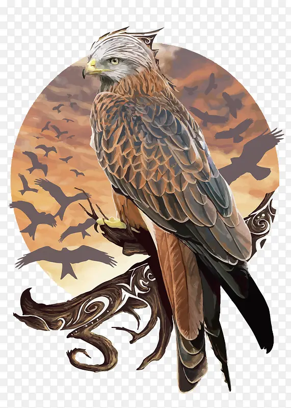 ʸ��ˮ��ӥ-������