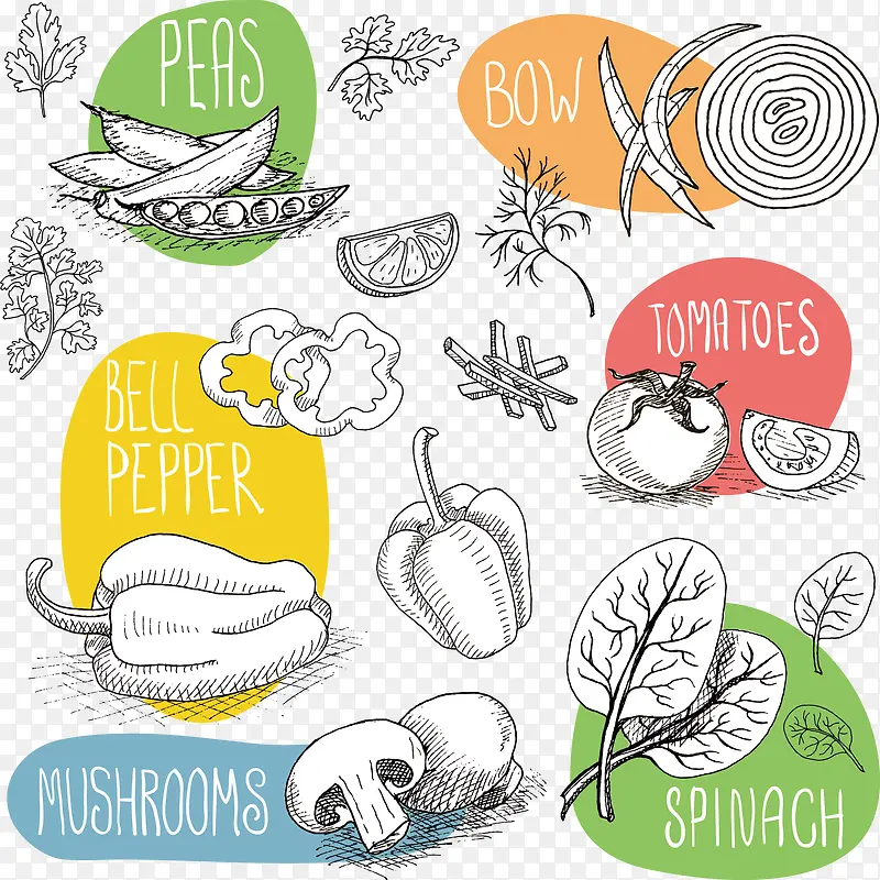 ʳ��ʸ��ͼ-������