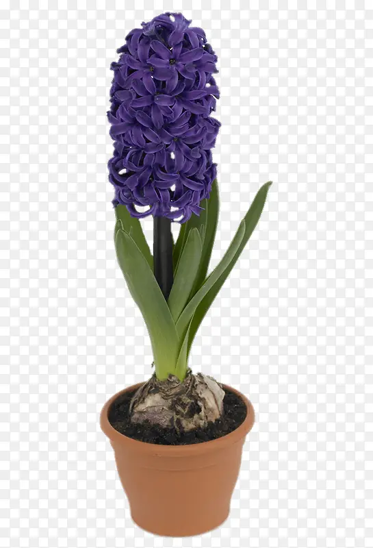 ʵ�������-������