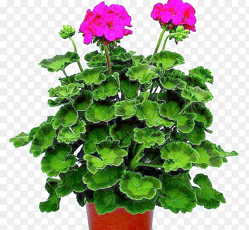 ���ò�����-������