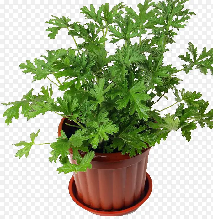 ���ò�����-������